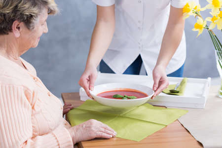 Servant girl's hands putting the bowl with soup on the tableの写真素材