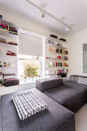Shot of a big grey sofa in a modern living room with bookshelves on the wallsの写真素材