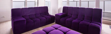 Comfortable living room desing and violet furniture