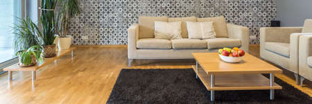 Shot of beige sofas in a modern spacious living room