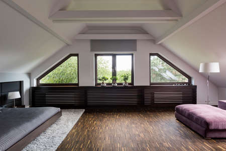 Shot of a spacious bedroom with big windows