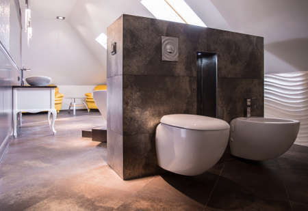 Photo of spacious luxurious bathroom in new style