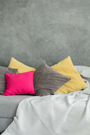 Living room in grey with sofa and colorful decorative pillows