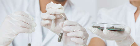 Closer shot of hands in gloves keeping the test tubesの写真素材