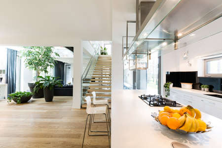Spacious new villa interior with an open white kitchen, light living room with decorative plants and...