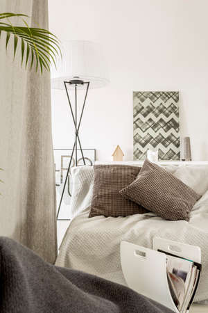 Living room with comfortable sofa and newspaper holder
