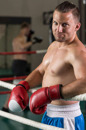 Smiling handsome boxer standing on a ring, wearing boxing glovesの写真素材