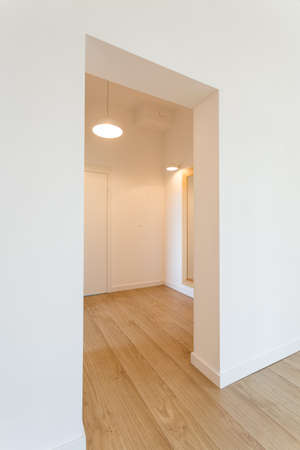 Spacious, minimalist hall with white walls and wooden floor