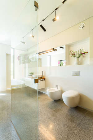 Modern bathroom with glass shower stall and white utensilsの写真素材