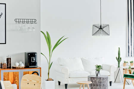 White living room with sofa and decorative houseplantの写真素材