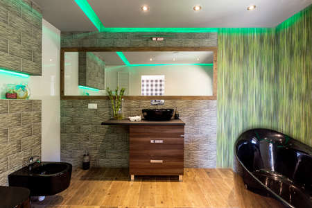 Bathroom interior with black bathtub and toilet and green ceiling backlightの写真素材