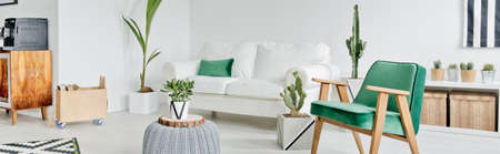 White and green design of spacious modern living room