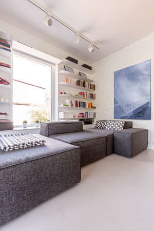 Modern room with white walls, grey couch and books on minimalist shelfsの写真素材