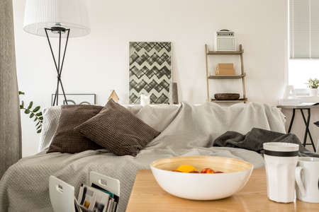 Sleeping sofa with blanket and pillows in modern living roomの写真素材