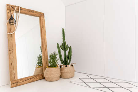 White room with mirror with wooden frame and decorative cactusの写真素材