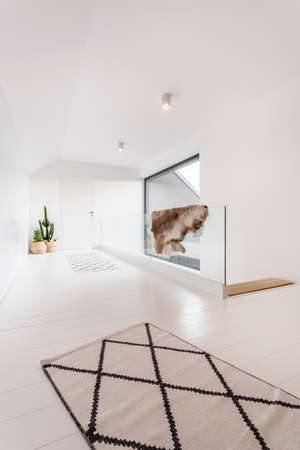 Villa interior with glass balustrade, floor panels and cactusの写真素材
