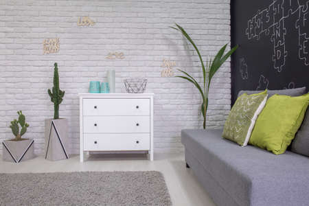 Functional room with decorative houseplants, dresser and sofaの写真素材