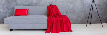 Bright living room interior with grey sofa with red cushion and blanketの写真素材