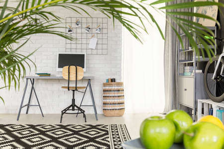 Light functional flat with office area and green houseplant