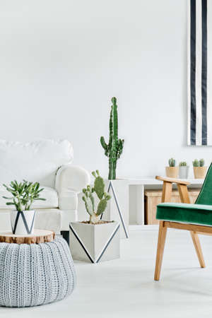 Bright and cozy interior with white furnitureの写真素材