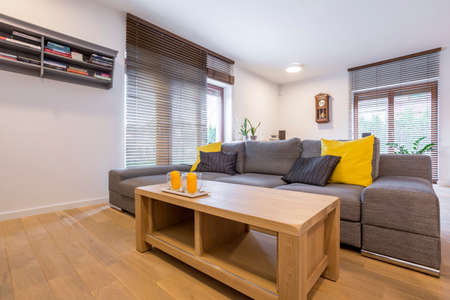 Room with sofa, wood coffee table and window