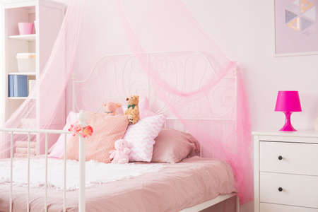 Perfect girl bedroom with pink canopy bed and white dresserの写真素材