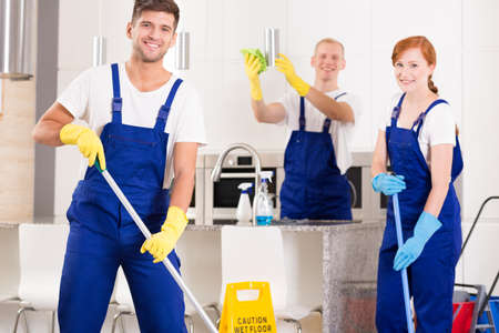 Professional cleaning work in modern white kitchenの写真素材