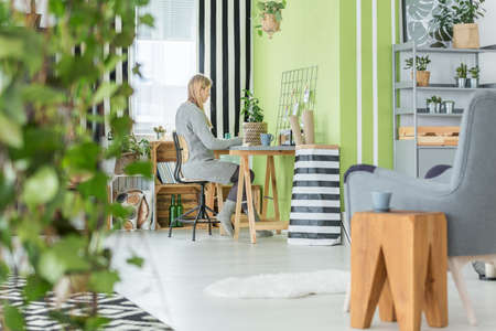 Functional green home office and living room combinedの写真素材