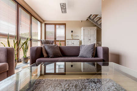 Elegant living room interior with a couch with pillows and glass coffee tableの写真素材