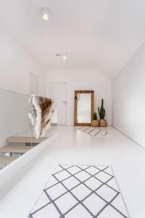 White house corridor with mirror and plantsの写真素材