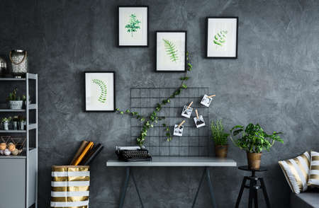 Room with plant themes on cyan wallの写真素材