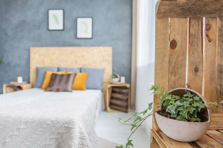 Bedroom with concrete wall and decorative ivyの写真素材