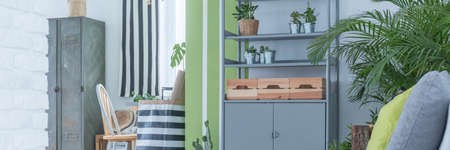 Metal shelf and wooden decoration in botanic style roomの写真素材