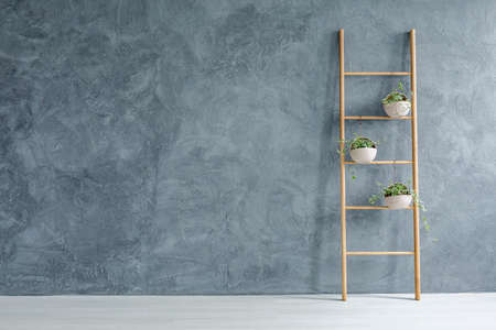 Grey and white room with wooden ladder with flowerpotsの写真素材