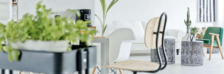 Kitchen and living room in scandi open space apartmentの写真素材