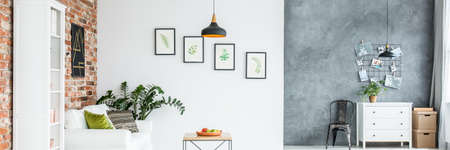 Grey and white studio apartment with sofa, chest of drawers and botanic accessoriesの写真素材