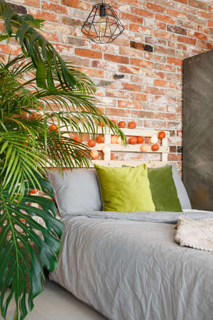 Bed and plants in modern room with brick wallの写真素材