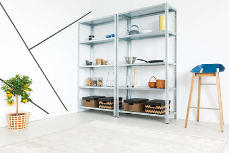 Simple white spacious room with metal shelves and small plantの写真素材