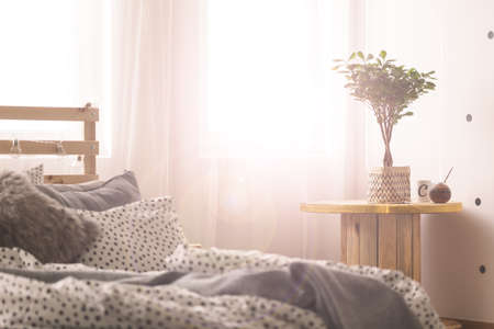 Cozy bedroom with window and table with plant