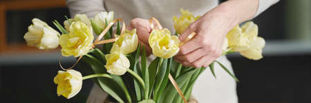 Talented florist arranging and decorating pretty yellow flowersの写真素材