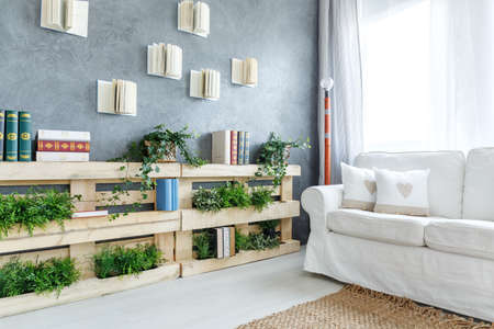 Green plants on the wooden bookshelf in cozy living roomの写真素材