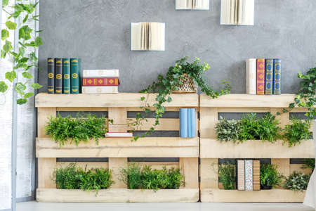 Modern bookshelf made of wooden pallets with green plants on itの写真素材