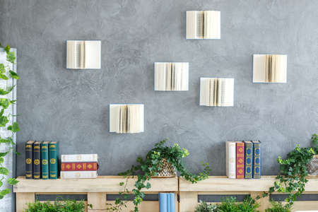 Open books on the grey wall above the bookshelf with plants