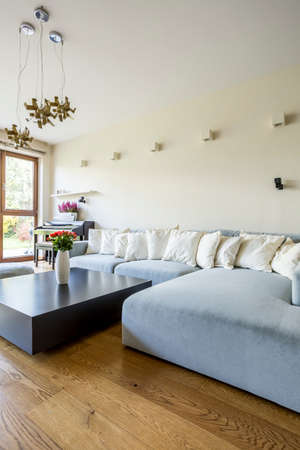 Pastel sofa set and table n bright spacious room