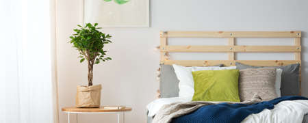 Colorful decor of cozy simple bedroom with comfortable bedの写真素材
