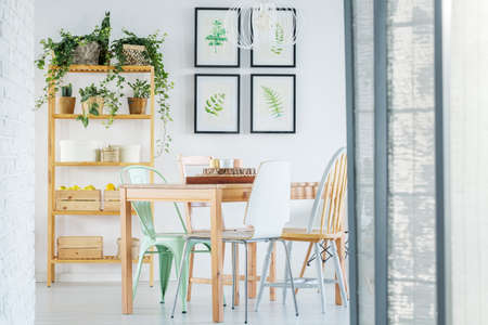 Bright dining room with table, chair, bookshelf and plantsの写真素材
