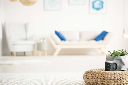 White room with armchair, couch, rattan pouf and plantの写真素材