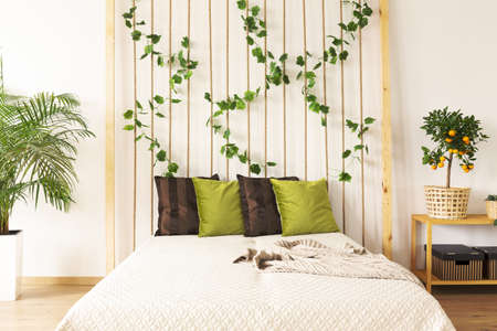 Bedroo with diy rope wall, plant and double bedの写真素材