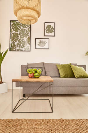 Cozy flat with grey sofa and monstera postersの写真素材