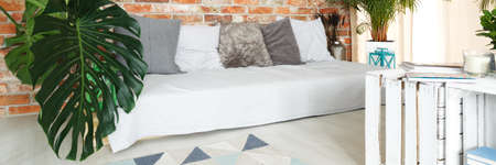 White sofa in modern room with crates and plantsの写真素材